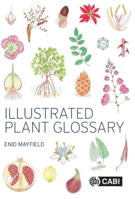 Illustrated Plant Glossary av Enid (Melbourne Australia) Mayfield