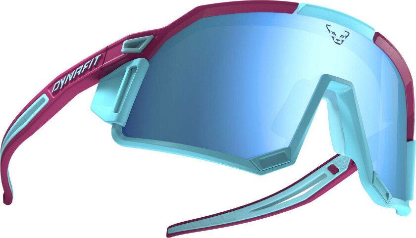 Dynafit Sky Evo Sunglasses