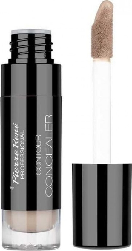 Pierre Rene Contour Concealer No 02