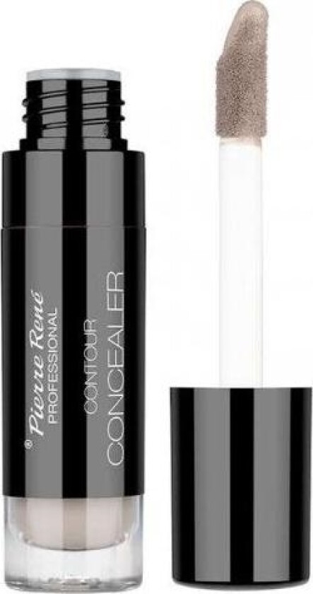 Pierre Rene Contour Concealer No 01