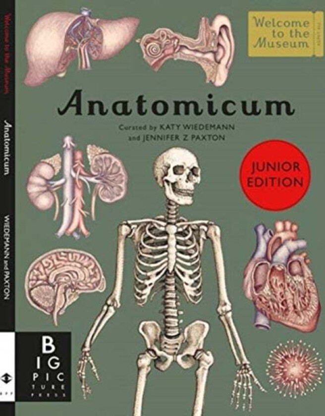 Anatomicum Junior av Jennifer Z Paxton