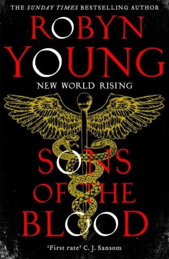 Sons of the Blood av Robyn Young