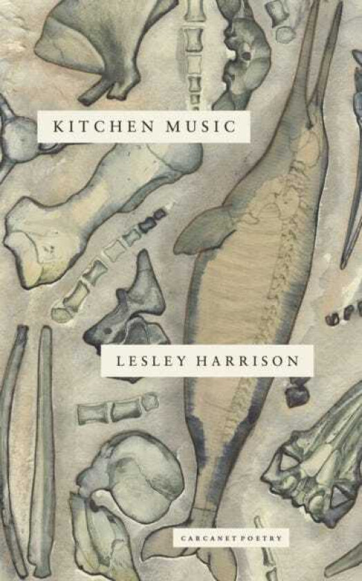 Kitchen Music av Lesley Harrison