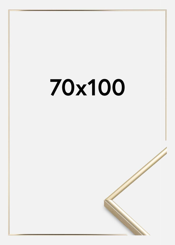 Ramme Visby Akrylglass Blank Gull 70x100 Cm