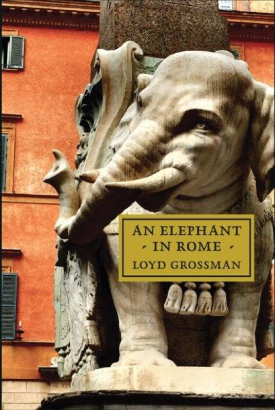 An Elephant in Rome av Loyd Grossman