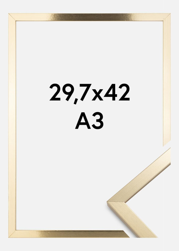 Ramme Trendy Akrylglass Gull 29,7x42 Cm (A3)