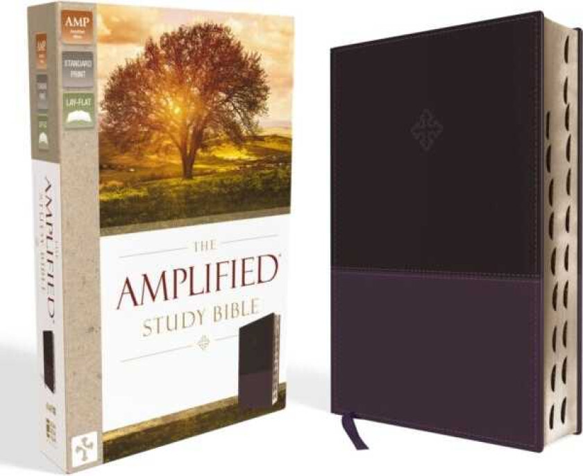 The Amplified Study Bible, Leathersoft, Purple, Thumb Indexed av Zondervan