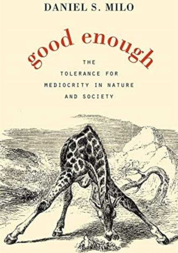 Good Enough av Daniel S. Milo