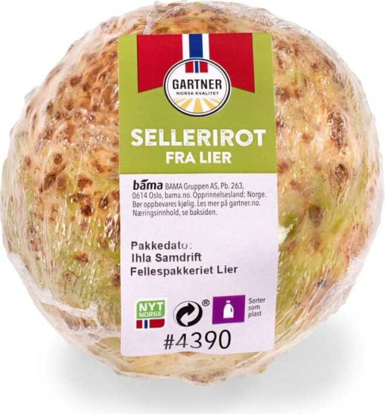 Sellerirot Kg