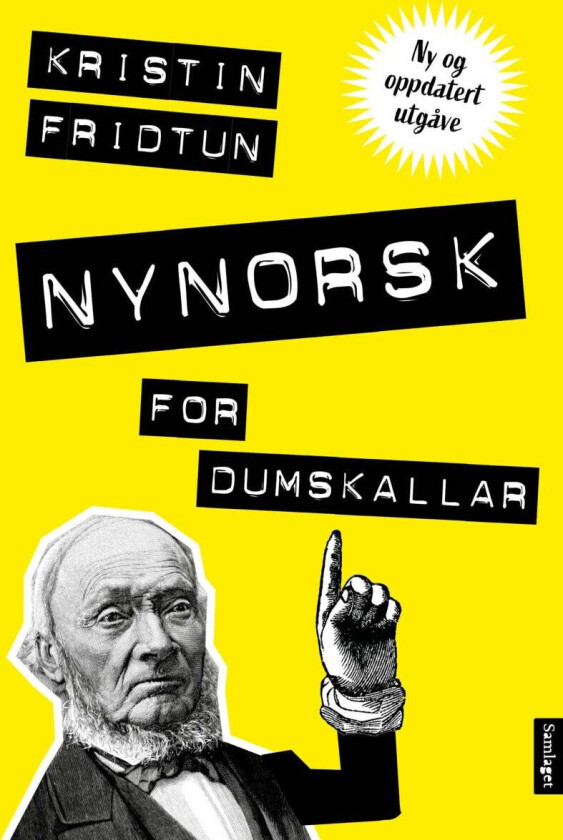Nynorsk for dumskallar av Kristin Fridtun