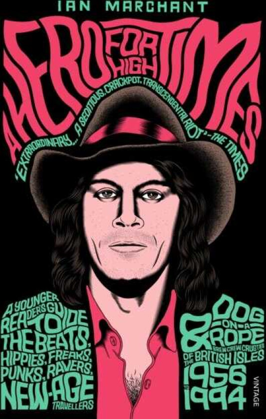 A Hero for High Times av Ian Marchant
