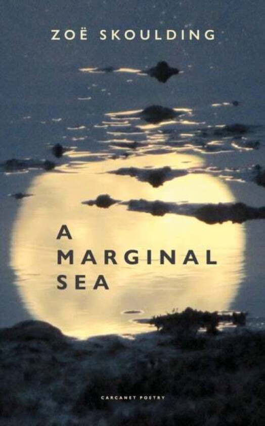 A Marginal Sea av Zoe Skoulding