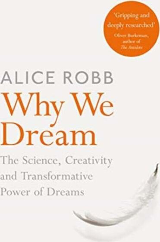 Why We Dream av Alice Robb