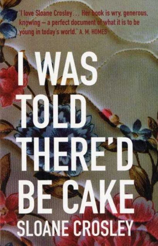I Was Told There'd Be Cake av Sloane Crosley