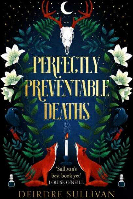 Perfectly Preventable Deaths av Deirdre Sullivan