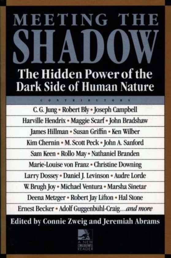 Meeting the Shadow av Connie Zweig