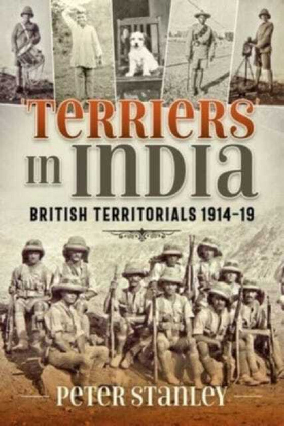 Terriers in India: British Territorials 1914-19 av Peter Stanley