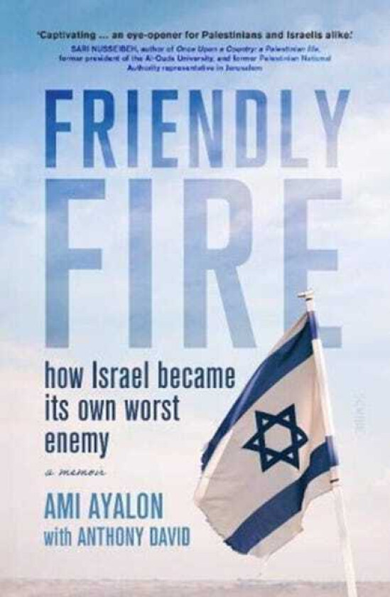 Friendly Fire av Ami Ayalon