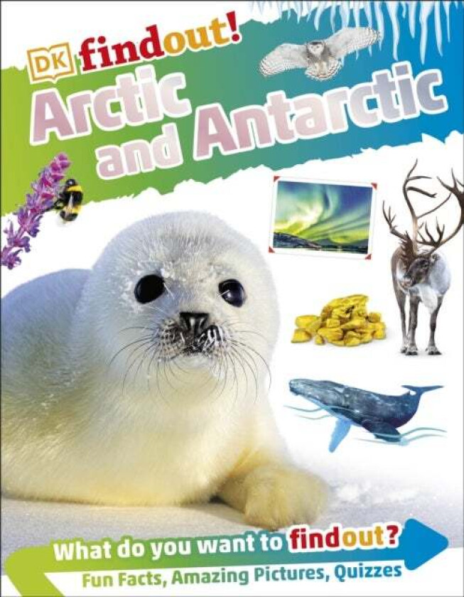 DKFindout! Arctic and Antarctic av DK