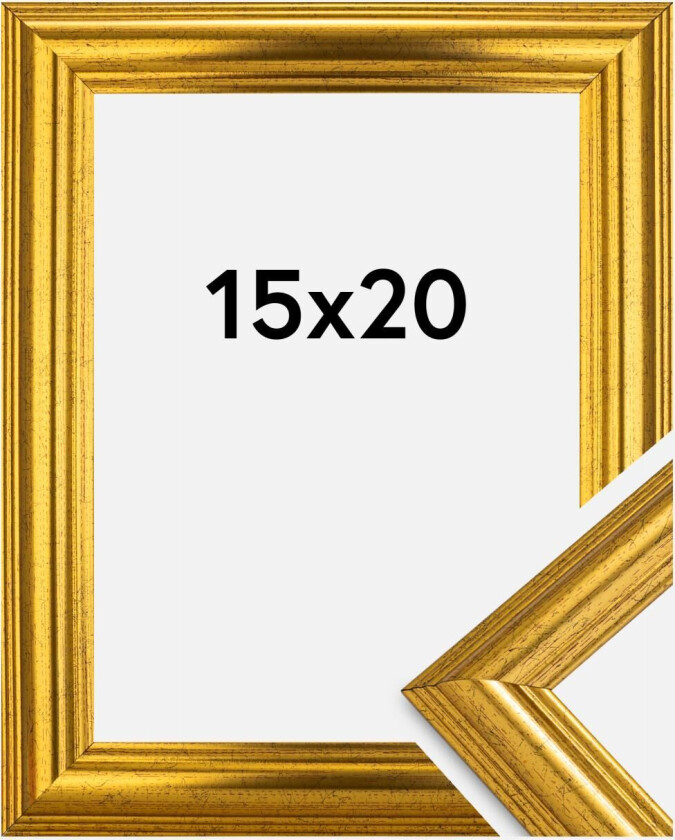 Ramme Västkusten Gull 15x20 Cm