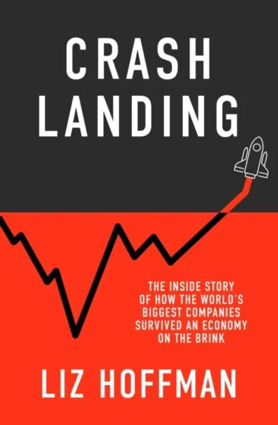 Crash Landing av Liz Hoffman