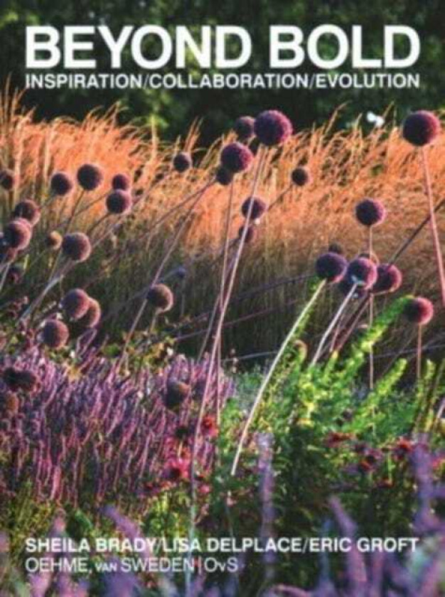 Beyond Bold: Inspiration, Collaboration, Evolution av Eric Groft, Sheila Brady, Lisa Delplace