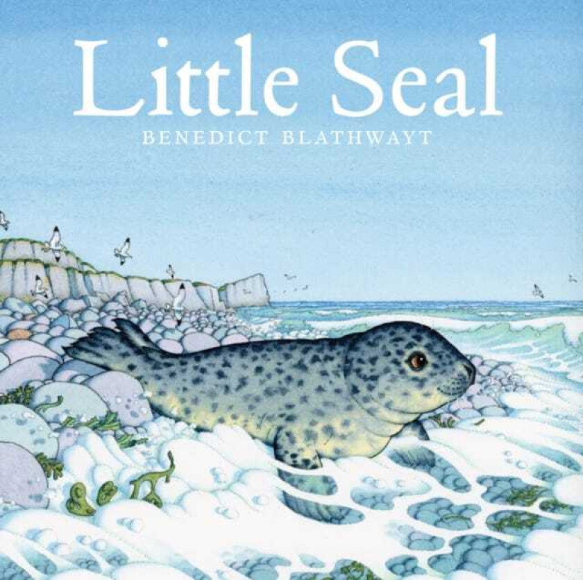 Little Seal av Benedict Blathwayt
