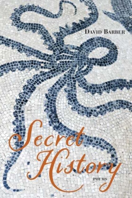 Secret History av David Barber