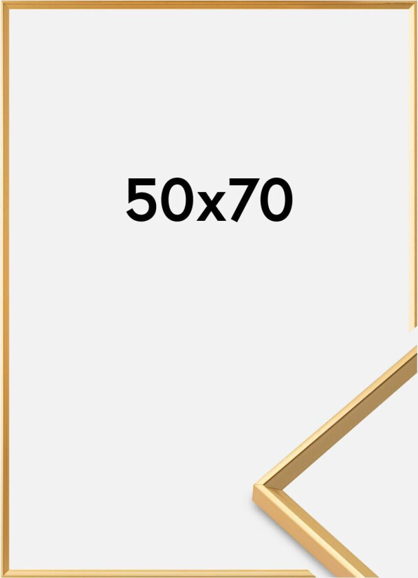 Ramme Desire Akrylglass Gull 50x70 Cm