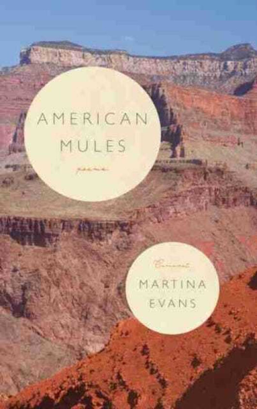 American Mules av Martina Evans