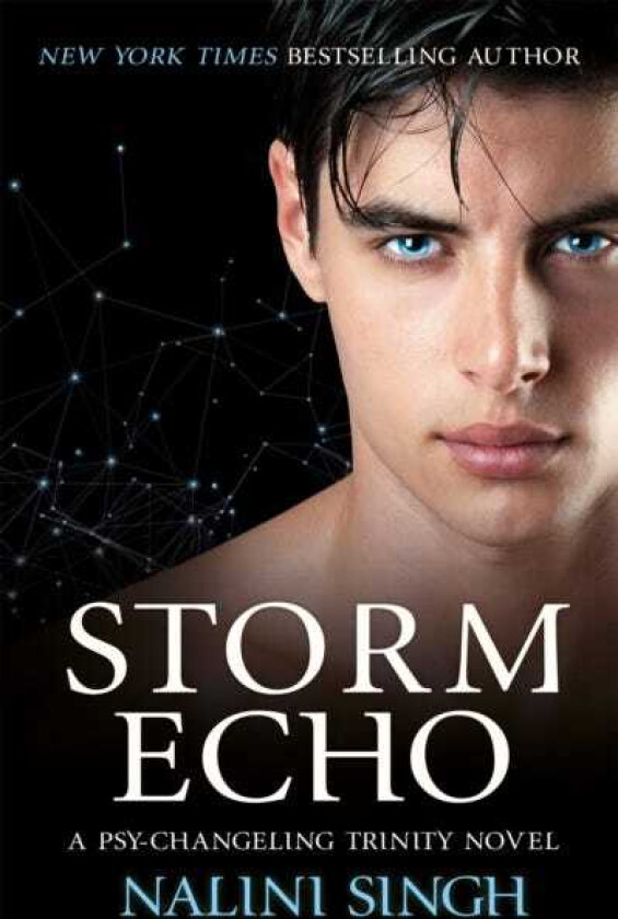 Storm Echo av Nalini Singh