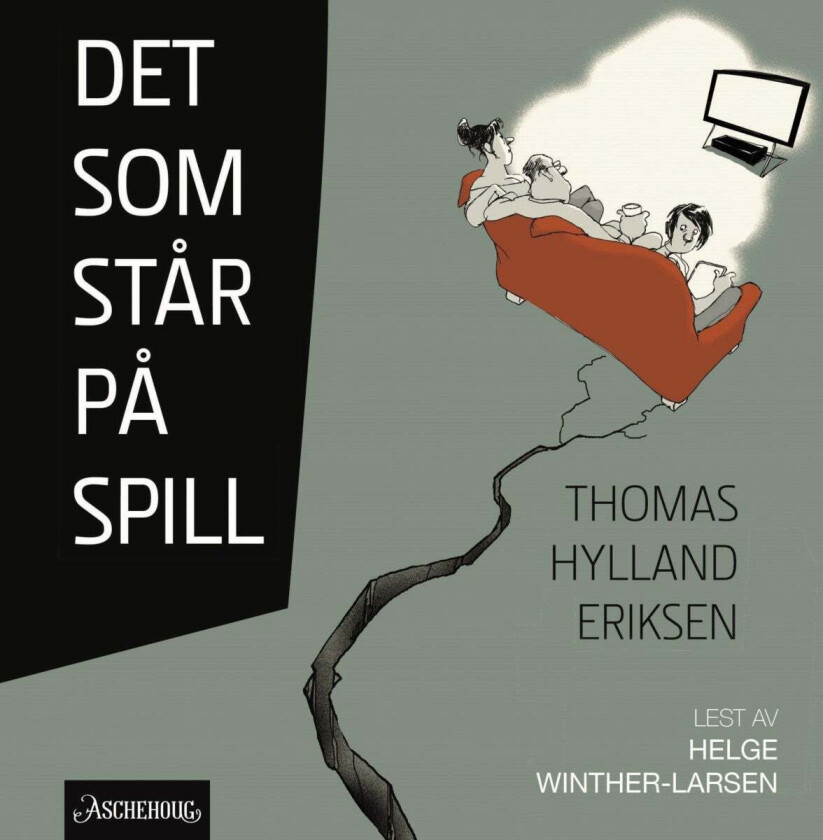 Det som står på spill av Thomas Hylland Eriksen
