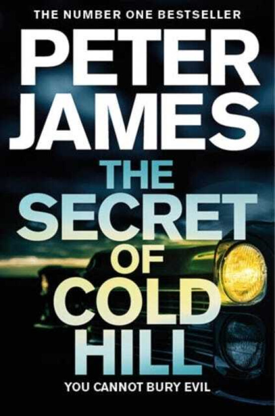 The Secret of Cold Hill av Peter James