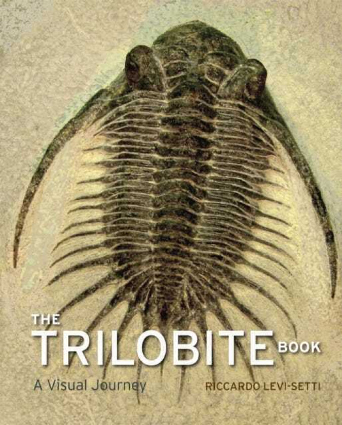 The Trilobite Book av Riccardo Levi-Setti