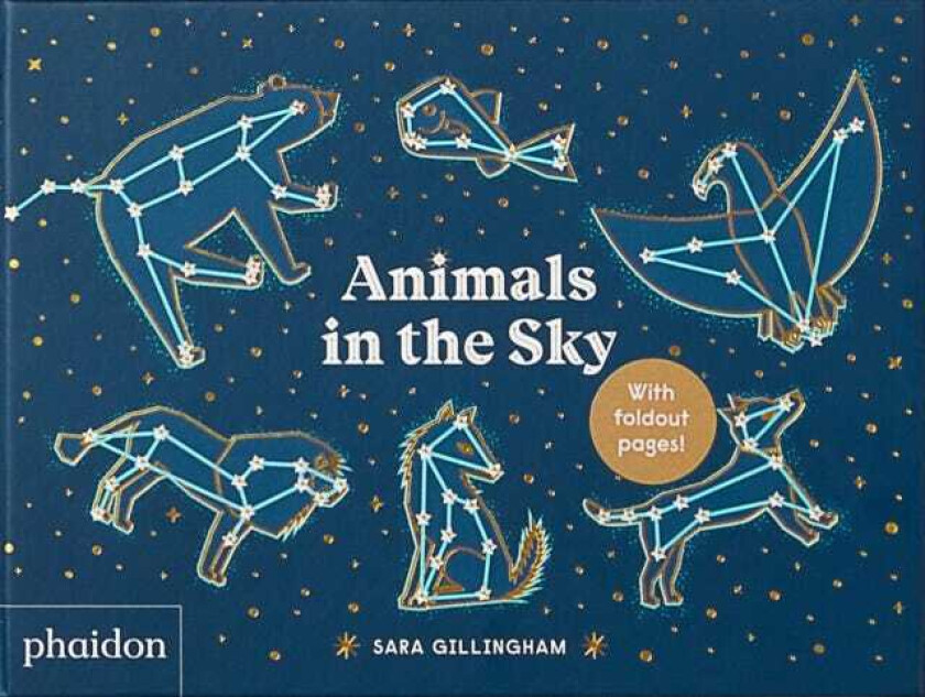 Animals in the Sky av Sara Gillingham