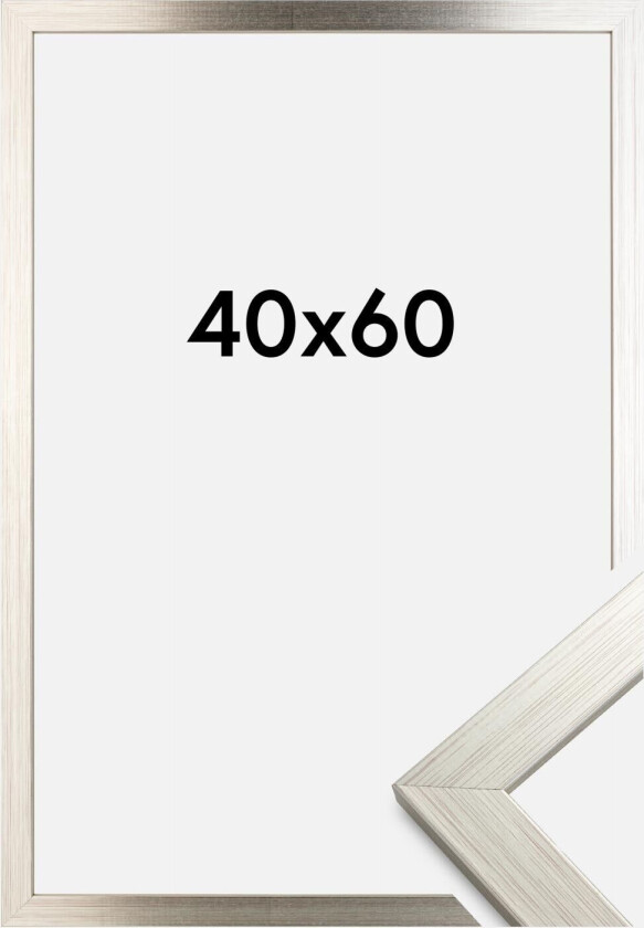 Ramme Silver Wood 40x60 Cm