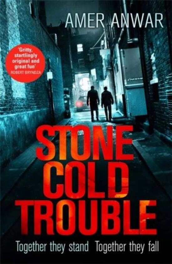 Stone Cold Trouble av Amer Anwar