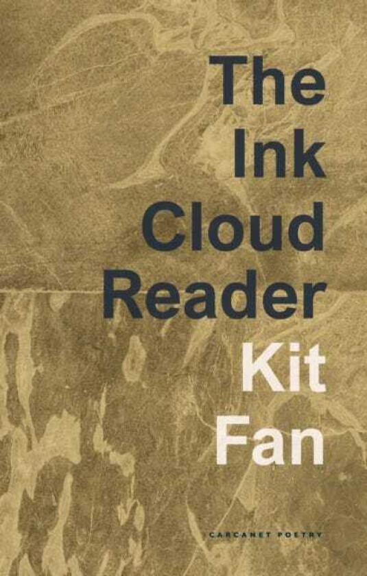 The Ink Cloud Reader av Kit Fan