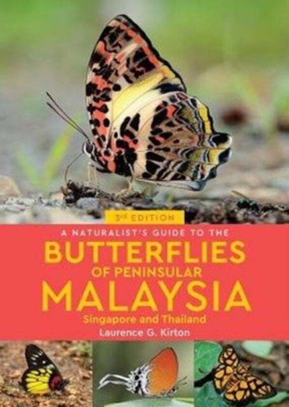 A Naturalist's Guide to the Butterflies of Peninsular Malaysia, Singapore & Thailand (3rd edition) av Laurence G Kirton