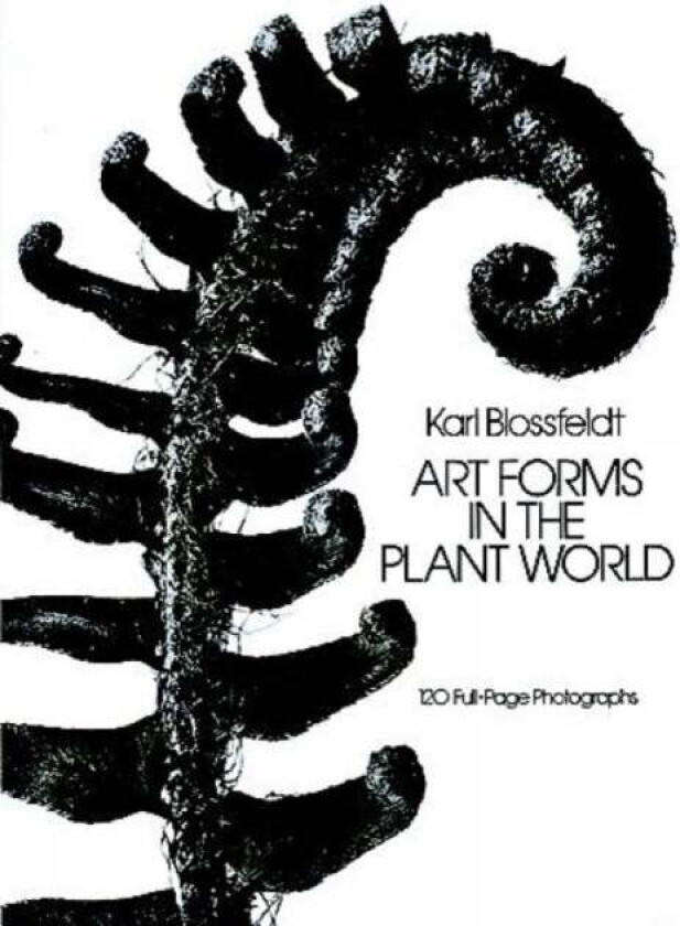 Art Forms in the Plant World av Karl Blossfeldt