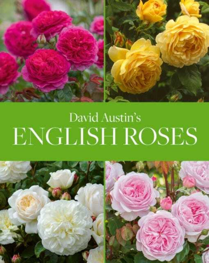 David Austin's English Roses av David Austin