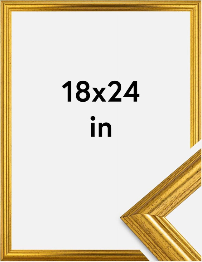 Ramme Västkusten Akrylglass Gull 18x24 Inches (45,72x60,96 Cm)