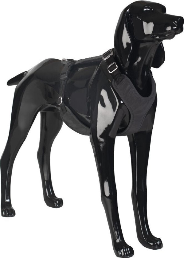 Visibility Harness Rosa | XS