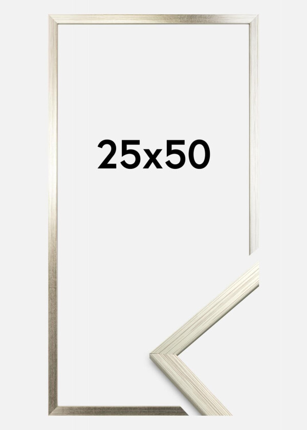 Ramme Edsbyn Akrylglass Sølv 25x50 Cm