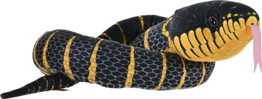 Snakesss Black Fanged Mangrove 137 cm