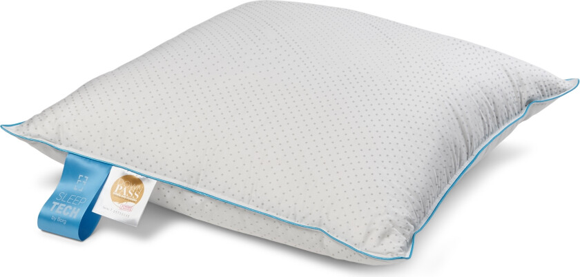 Hodepute med moskusdun - 100% Dun - 60x63 cm - 3-lags dunpute - Royal By Borg Daisy