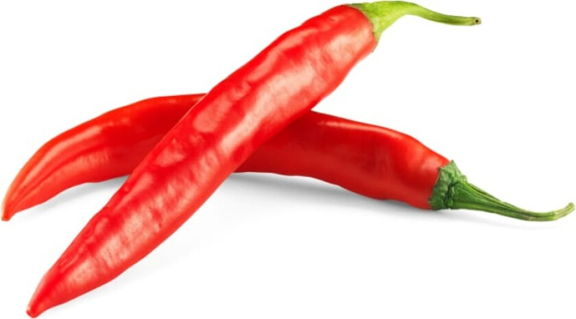Chilipepper Rød