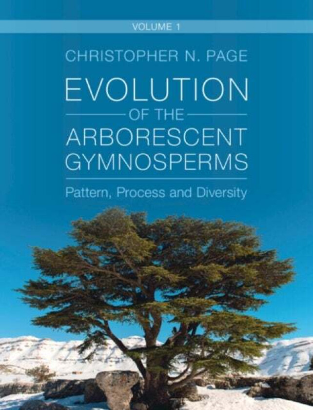 Evolution of the Arborescent Gymnosperms: Volume 1, Northern Hemisphere Focus av Christopher N. (University of Exeter) Page