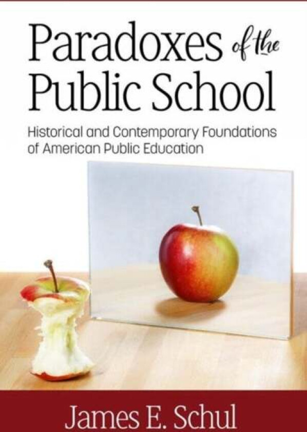 Paradoxes of the Public School av James E. Schul