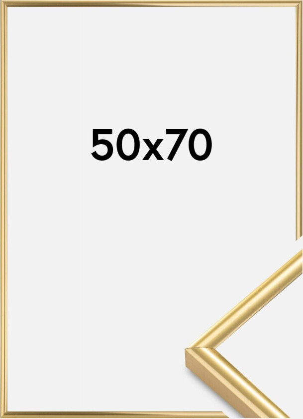 Ramme Victoria Akrylglass Gull 50x70 Cm